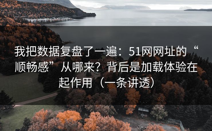 我把数据复盘了一遍：51网网址的“顺畅感”从哪来？背后是加载体验在起作用（一条讲透）